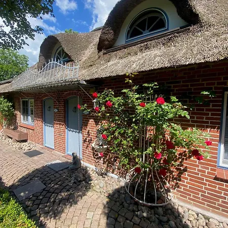 Hus Op De Duen Eiderente *